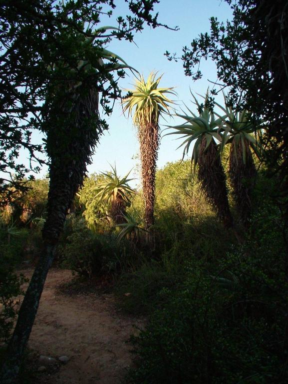 Hopefield Country House Addo Buitenkant foto