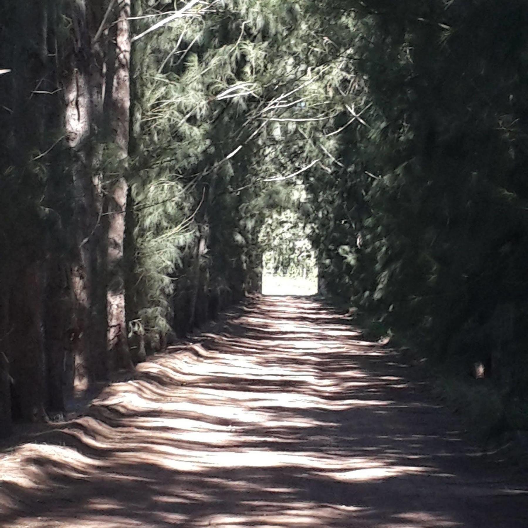 Hopefield Country House Addo Buitenkant foto