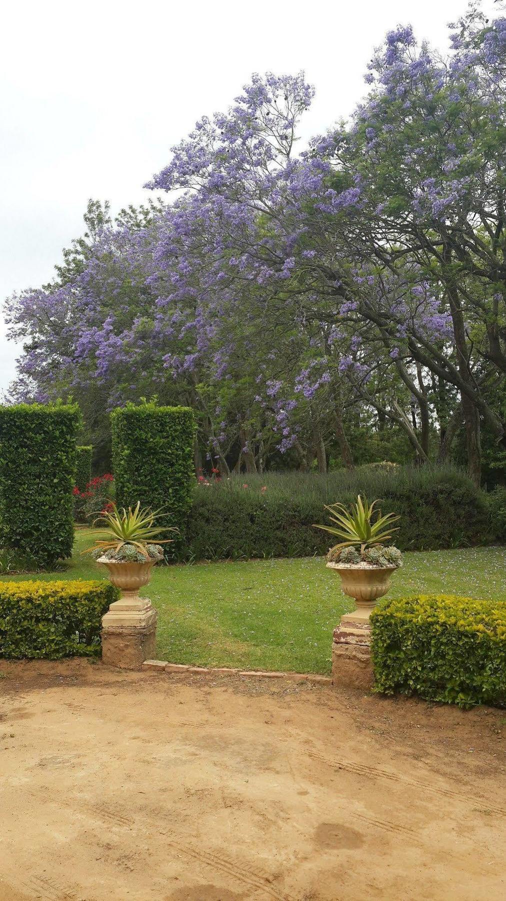 Hopefield Country House Addo Buitenkant foto