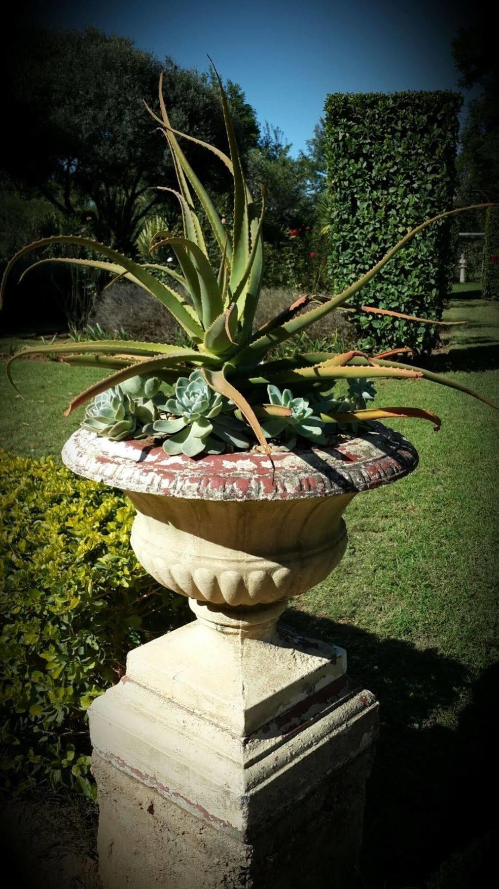Hopefield Country House Addo Buitenkant foto